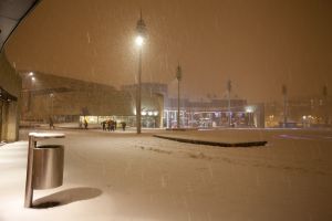 city park snow 1112 sm.jpg